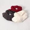 main_image_2 (1) Custom Logo 100% Cotton Long 3D Embroidery Heavyweight Oversized Unisex Thickened Solid Color Fleece Hoodies