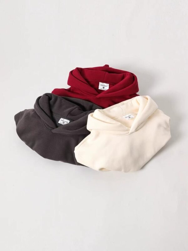 main_image_2 (1) Custom Logo 100% Cotton Long 3D Embroidery Heavyweight Oversized Unisex Thickened Solid Color Fleece Hoodies