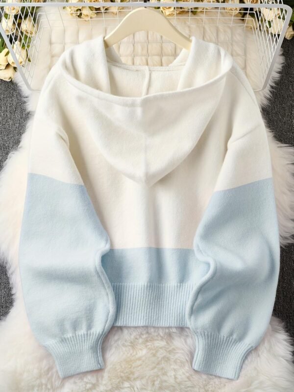 High Quality Winter Autumn Cashmere Wool Women's Hoodie Sweater Elegant Button Cardigan Sweaters