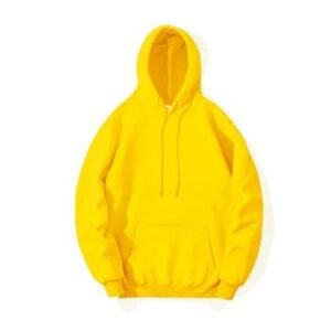 Ever Glow Custom Heavyweight Waterproof Eco-Friendly Winter Hoodies Boxy Fit Pullover Cotton Fleece Double Layer Sweatshirts Men